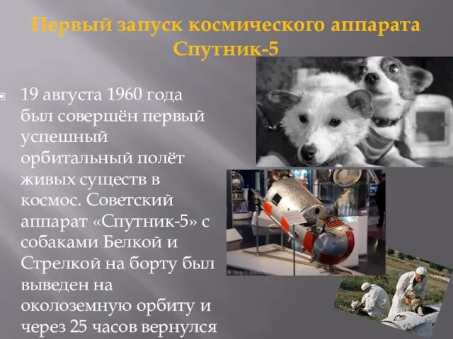 Первый запуск космического аппарата Спутник-5 19 августа 1960 года был совершён