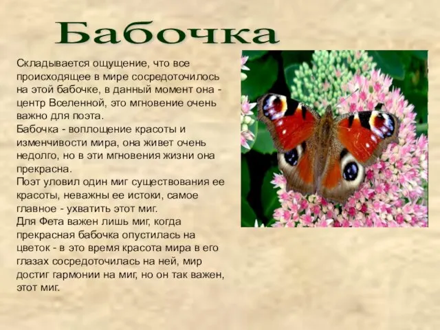 Бабочка Складывается ощущение, что все происходящее в мире сосредоточилось на этой