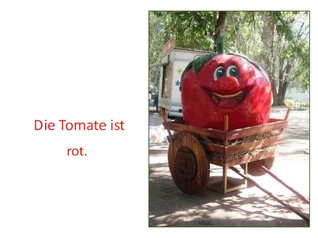 Die Tomate ist rot.