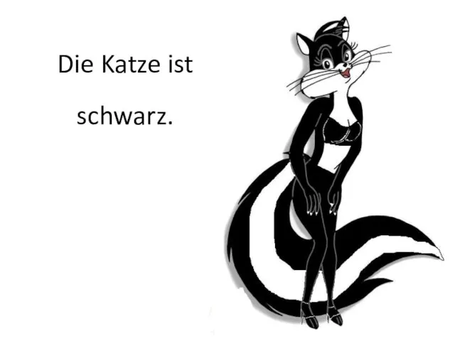 Die Katze ist schwarz.