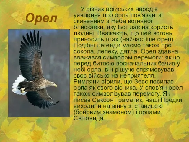 Орел У різних арійських народів уявлення про орла пов'язані зі скиненням
