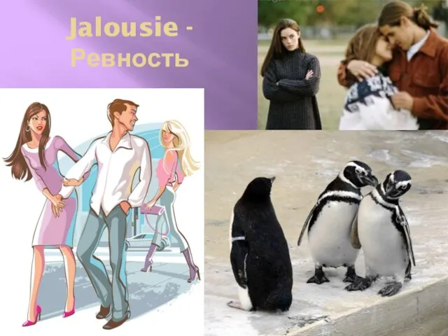 Jalousie - Ревность