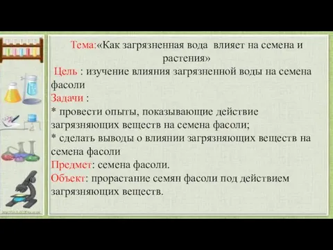 Тема:«Как загрязненная вода влияет на семена и растения» Цель : изучение