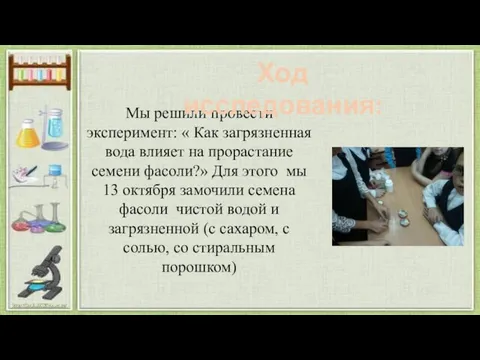 Мы решили провести эксперимент: « Как загрязненная вода влияет на прорастание