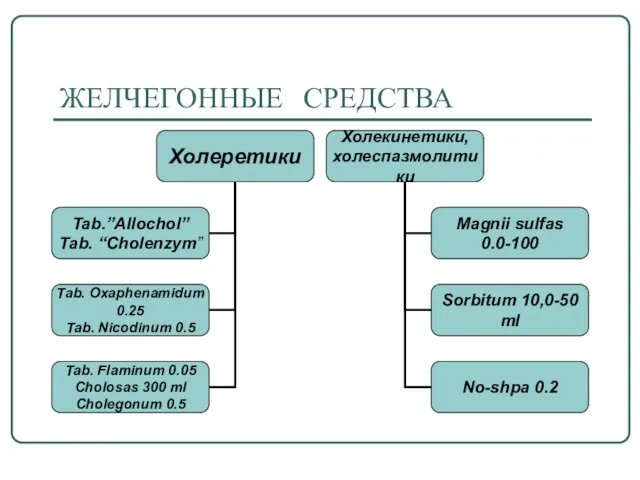 ЖЕЛЧЕГОННЫЕ СРЕДСТВА