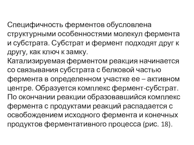 Специфичность ферментов обусловлена структурными особенностями молекул фермента и субстрата. Субстрат и