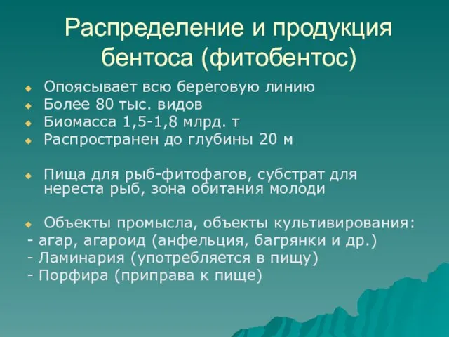 Распределение и продукция бентоса (фитобентос) Опоясывает всю береговую линию Более 80