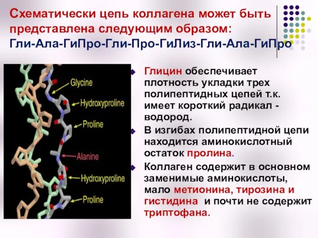 Схематически цепь коллагена может быть представлена следующим образом: Гли-Ала-ГиПро-Гли-Про-ГиЛиз-Гли-Ала-ГиПро Глицин обеспечивает