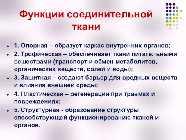 Функции соединительной ткани 1. Опорная – образует каркас внутренних органов; 2.