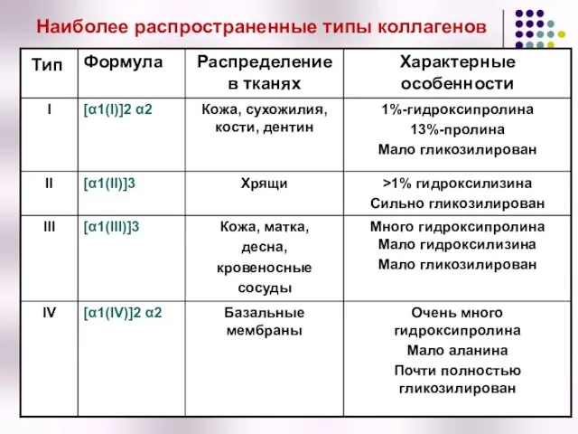 Наиболее распространенные типы коллагенов