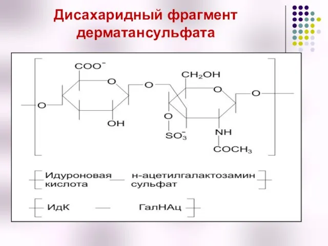 Дисахаридный фрагмент дерматансульфата