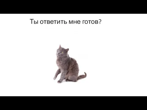 Ты ответить мне готов?