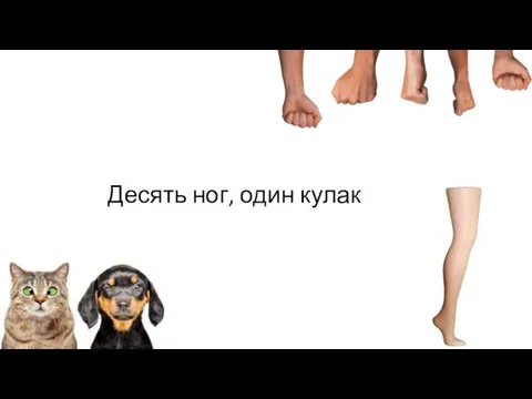 Десять ног, один кулак