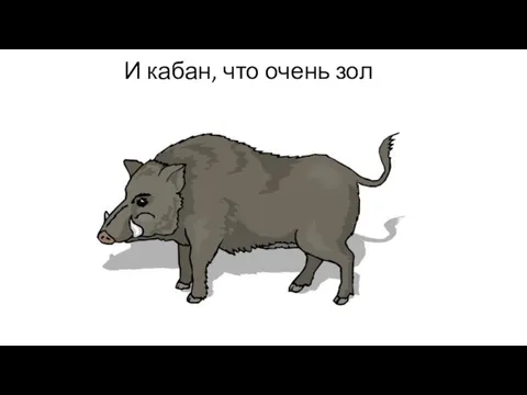 И кабан, что очень зол