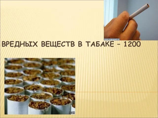 ВРЕДНЫХ ВЕЩЕСТВ В ТАБАКЕ – 1200