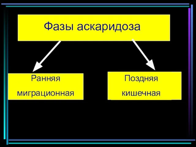 Фазы аскаридоза Ранняя миграционная Поздняя кишечная