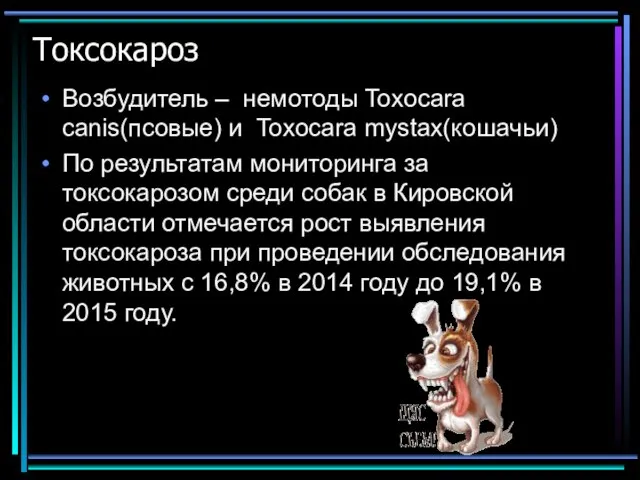 Токсокароз Возбудитель – немотоды Toxocara canis(псовые) и Toxocara mystax(кошачьи) По результатам