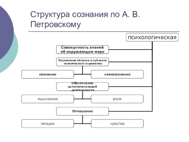 Структура сознания по А. В. Петровскому
