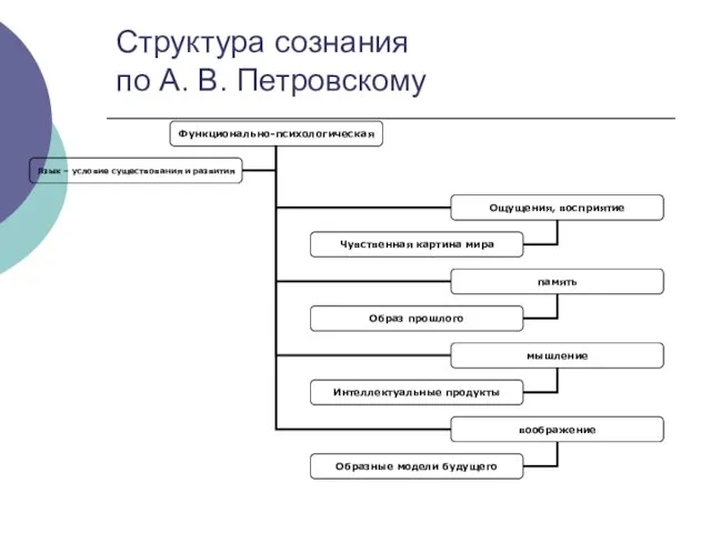 Структура сознания по А. В. Петровскому