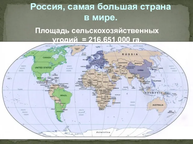 Россия, самая большая страна в мире. Площадь сельскохозяйственных угодий = 216,651,000 га.