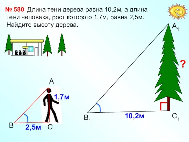 Длина тени дерева равна 10,2м, а длина тени человека, рост которого