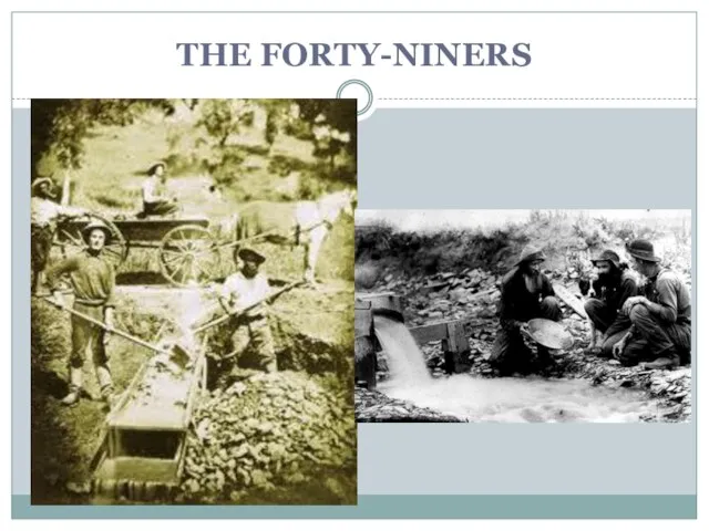 THE FORTY-NINERS