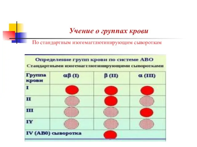 Учение о группах крови По стандартным изогемагглютинирующим сывороткам