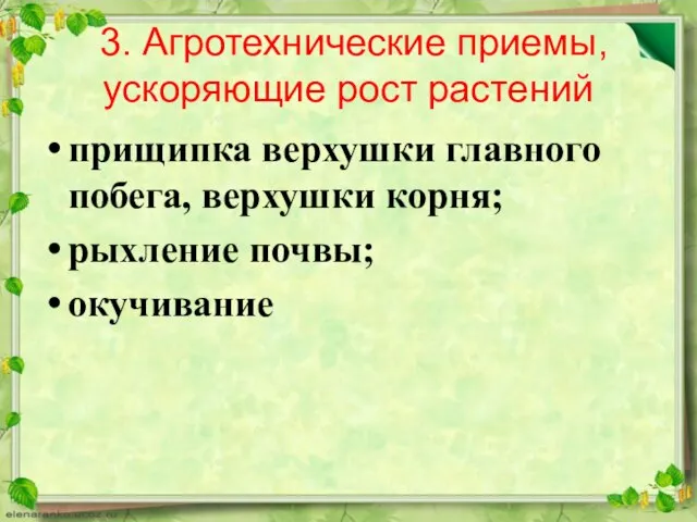 3. Агротехнические приемы, ускоряющие рост растений прищипка верхушки главного побега, верхушки корня; рыхление почвы; окучивание