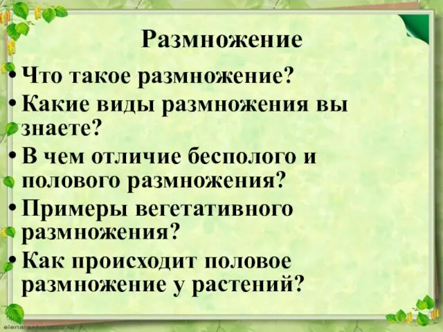 Размножение Что такое размножение? Какие виды размножения вы знаете? В чем