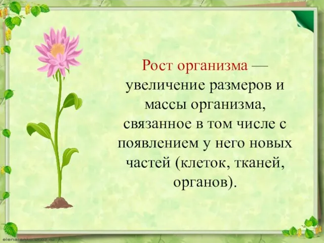 Рост организма — увеличение размеров и массы организма, связанное в том