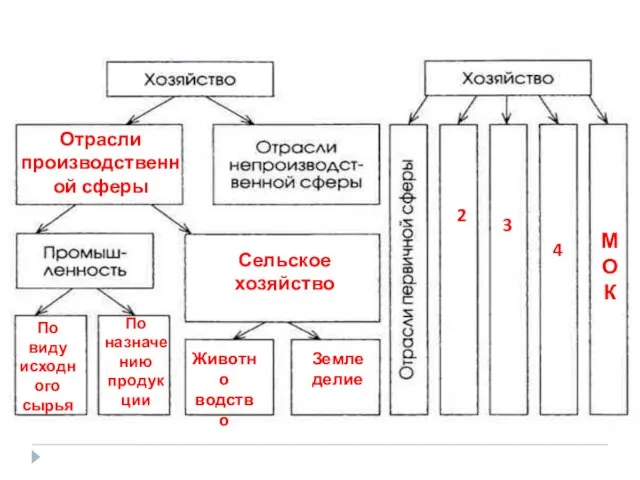 Отрасли производственной сферы Сельское хозяйство По виду исходного сырья По назначе