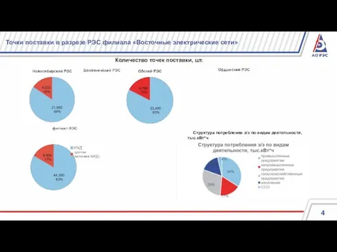 Точки поставки в разрезе РЭС филиала «Восточные электрические сети» Количество точек