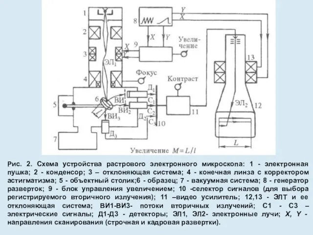 Рис. 2. Схема устройства растрового электронного микроскопа: 1 - электронная пушка;