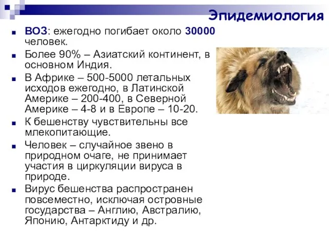 Эпидемиология ВОЗ: ежегодно погибает около 30000 человек. Более 90% – Азиатский