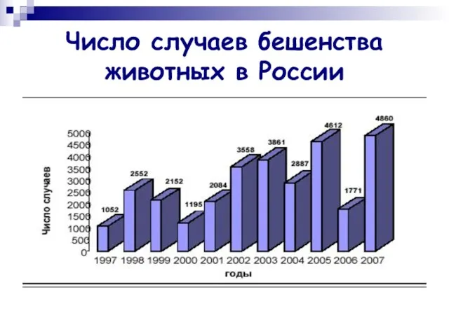 Число случаев бешенства животных в России