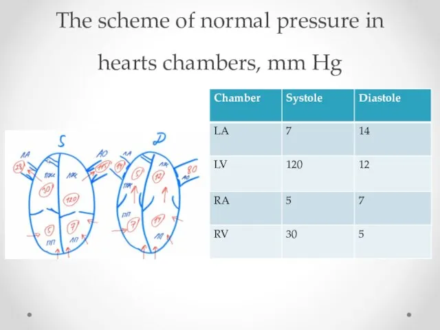 The scheme of normal pressure in hearts chambers, mm Hg