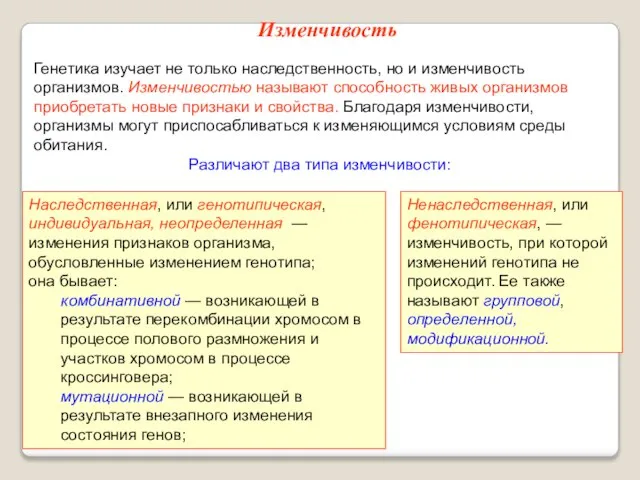 Изменчивость Генетика изучает не только наследственность, но и изменчивость организмов. Изменчивостью