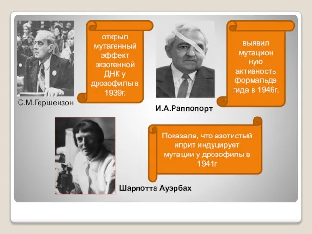 Шарлотта Ауэрбах И.А.Раппопорт С.М.Гершензон открыл мутагенный эффект экзогенной ДНК у дрозофилы