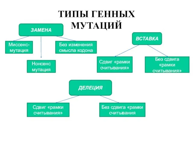 ТИПЫ ГЕННЫХ МУТАЦИЙ ЗАМЕНА Миссенс-мутация Нонсенс мутация Без изменения смысла кодона