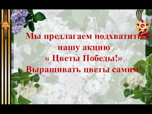 Мы предлагаем подхватить нашу акцию « Цветы Победы!» Выращивать цветы самим!