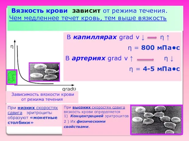 Вязкость крови зависит от режима течения. Чем медленнее течет кровь, тем