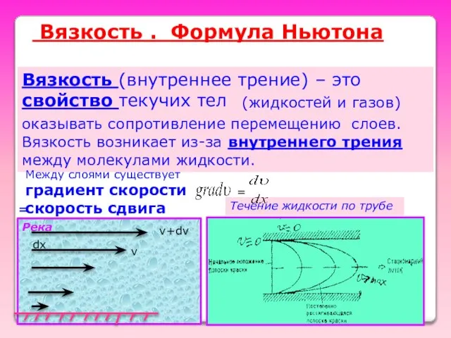 Вязкость . Формула Ньютона Вязкость (внутреннее трение) – это свойство текучих