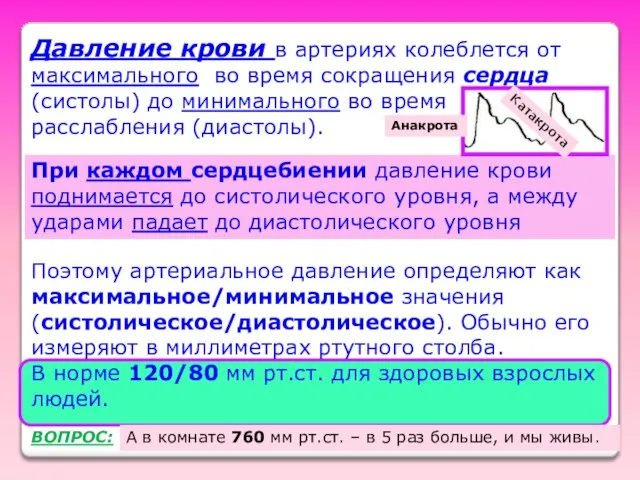 Давление крови в артериях колеблется от максимального во время сокращения сердца