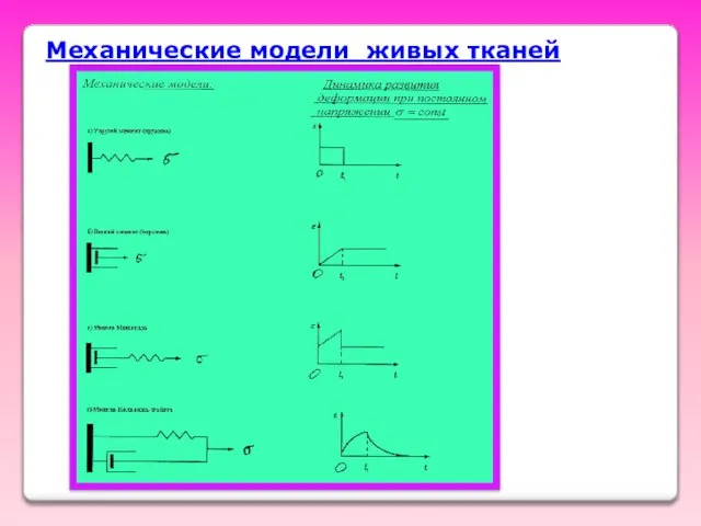 Механические модели живых тканей