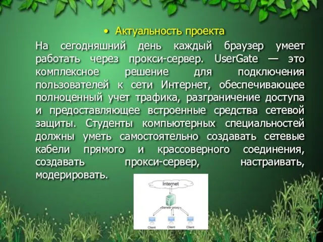 Актуальность проекта На сегодняшний день каждый браузер умеет работать через прокси-сервер.