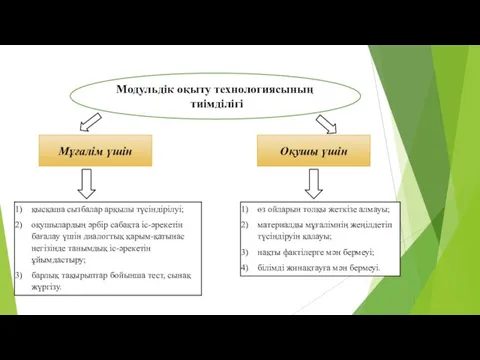 өз ойларын толқы жеткізе алмауы; материалды мұғалімнің жеңілдетіп түсіндіруін қалауы; нақты