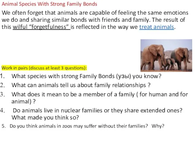 Animal Species With Strong Family Bonds We often forget that animals