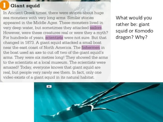 What would you rather be: giant squid or Komodo dragon? Why?