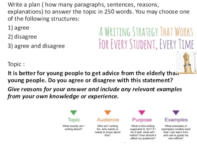 Write a plan ( how many paragraphs, sentences, reasons, explanations) to