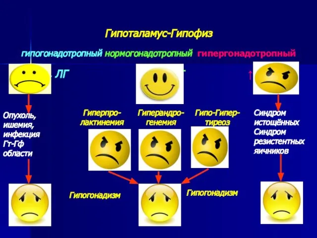 Гипоталамус-Гипофиз гипогонадотропный нормогонадотропный гипергонадотропный ↓ ФСГ, ЛГ NФСГ, ЛГ ↑ФСГ, ЛГ